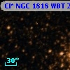 Cl* NGC 1818    WBT    2529