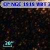 Cl* NGC 1818    WBT    3006