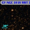 Cl* NGC 1818    WBT    3019