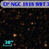 Cl* NGC 1818    WBT    3029