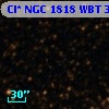Cl* NGC 1818    WBT    3038
