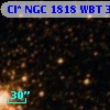 Cl* NGC 1818    WBT    3046
