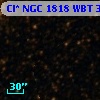 Cl* NGC 1818    WBT    3103