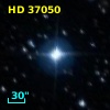 HD  37050