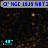 Cl* NGC 1818    WBT    3143