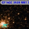Cl* NGC 1818    WBT    3170