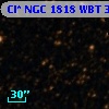 Cl* NGC 1818    WBT    3177