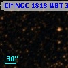 Cl* NGC 1818    WBT    3182