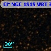 Cl* NGC 1818    WBT    3204