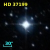 HD  37199
