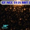 Cl* NGC 1818    WBT    3213
