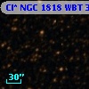 Cl* NGC 1818    WBT    3218