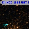 Cl* NGC 1818    WBT    3220