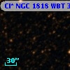 Cl* NGC 1818    WBT    3261