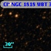 Cl* NGC 1818    WBT    3272