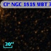 Cl* NGC 1818    WBT    3333