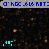 Cl* NGC 1818    WBT    3344