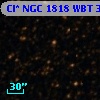 Cl* NGC 1818    WBT    3423