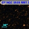Cl* NGC 1818    WBT    3447