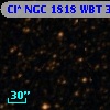 Cl* NGC 1818    WBT    3463