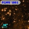 PGMW 1001