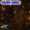 PGMW 1003