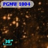 PGMW 1004