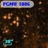 PGMW 1006