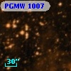 PGMW 1007