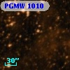 PGMW 1010