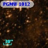 PGMW 1012