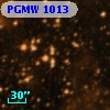 PGMW 1013