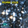 PGMW 1016
