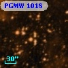 PGMW 1018