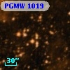 PGMW 1019