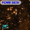 PGMW 1020