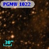 PGMW 1022