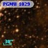 PGMW 1029