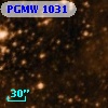 PGMW 1031