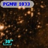 PGMW 1033