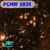PGMW 1038