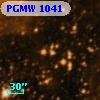 PGMW 1041
