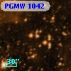 PGMW 1042