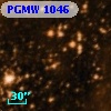 PGMW 1046