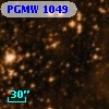 PGMW 1049