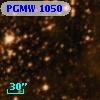 PGMW 1050