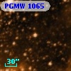 PGMW 1065