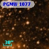 PGMW 1077