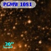 PGMW 1081