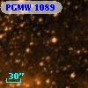 PGMW 1089